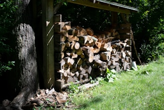 A stack of chopped firewood is neatly arranged under a simple wooden shelter next to a large tree. The scene is surrounded by lush green grass and foliage, creating a peaceful and natural setting. Sunlight filters through the leaves, casting dappled shadows on the ground and wood.