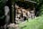 A stack of chopped firewood is neatly arranged under a simple wooden shelter next to a large tree. The scene is surrounded by lush green grass and foliage, creating a peaceful and natural setting. Sunlight filters through the leaves, casting dappled shadows on the ground and wood.