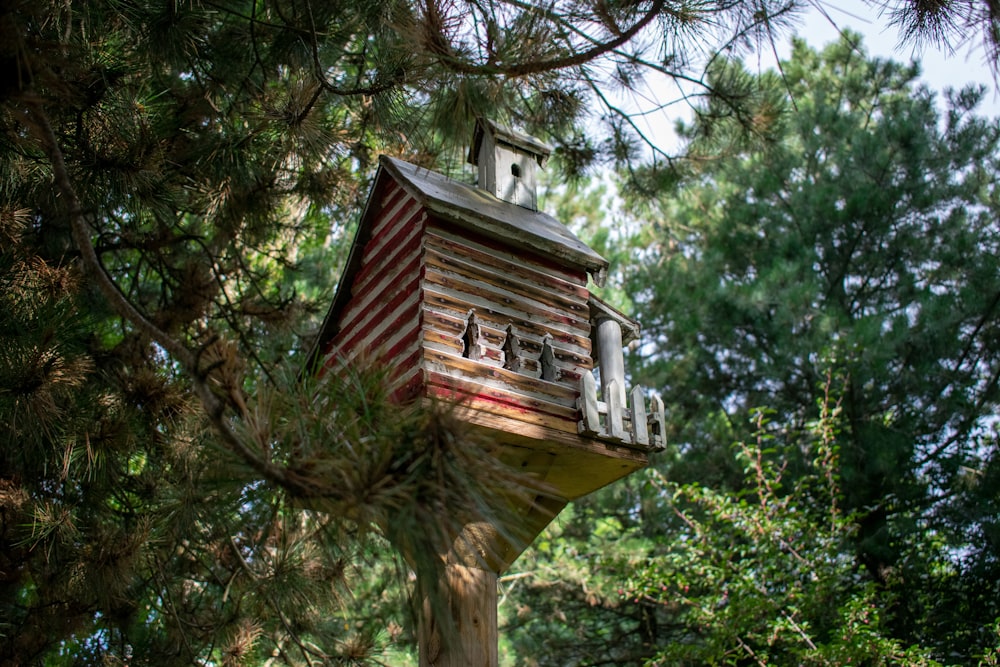 a bird house in the middle of a pine tree