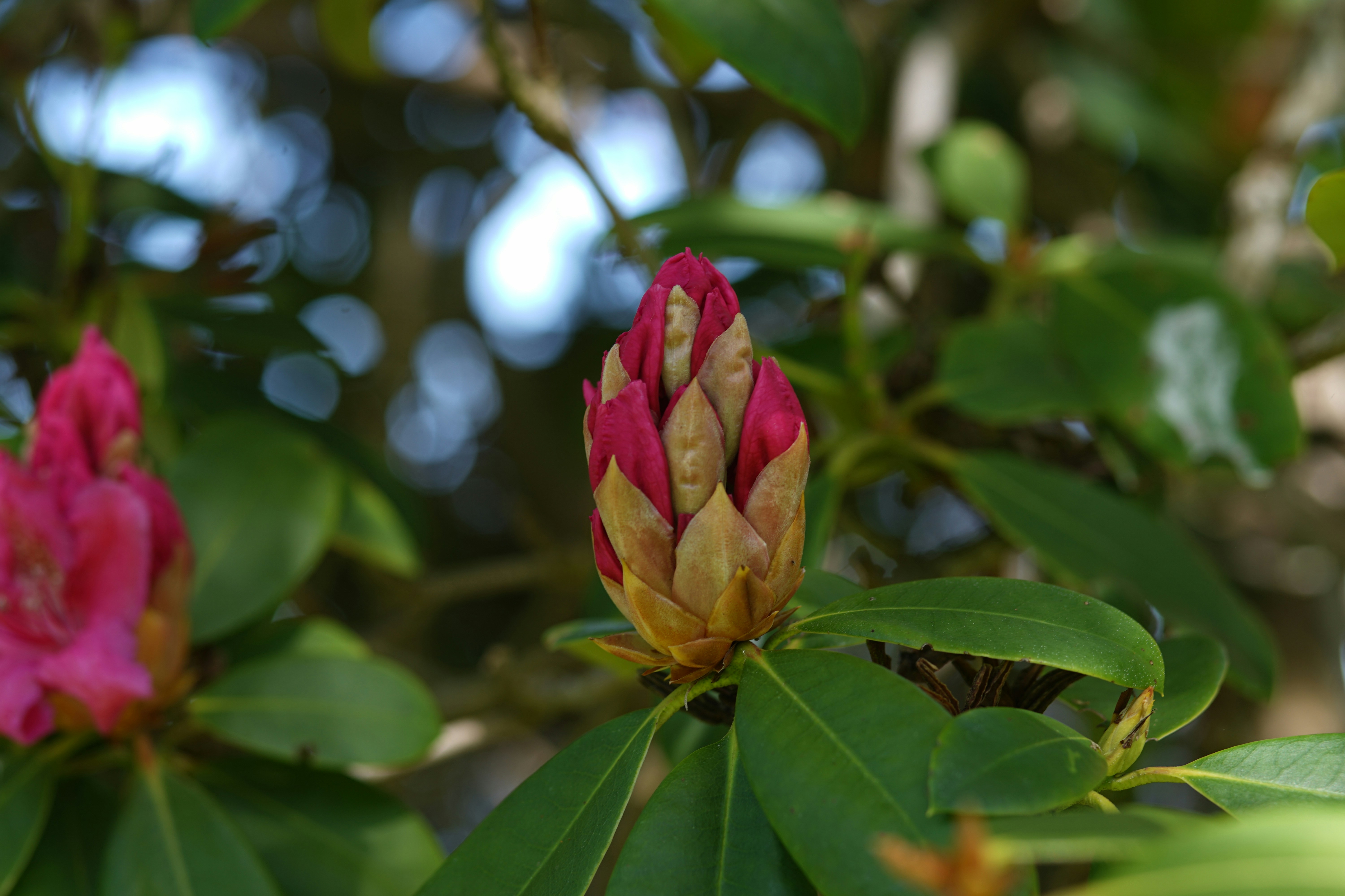 Photo by denisseleon