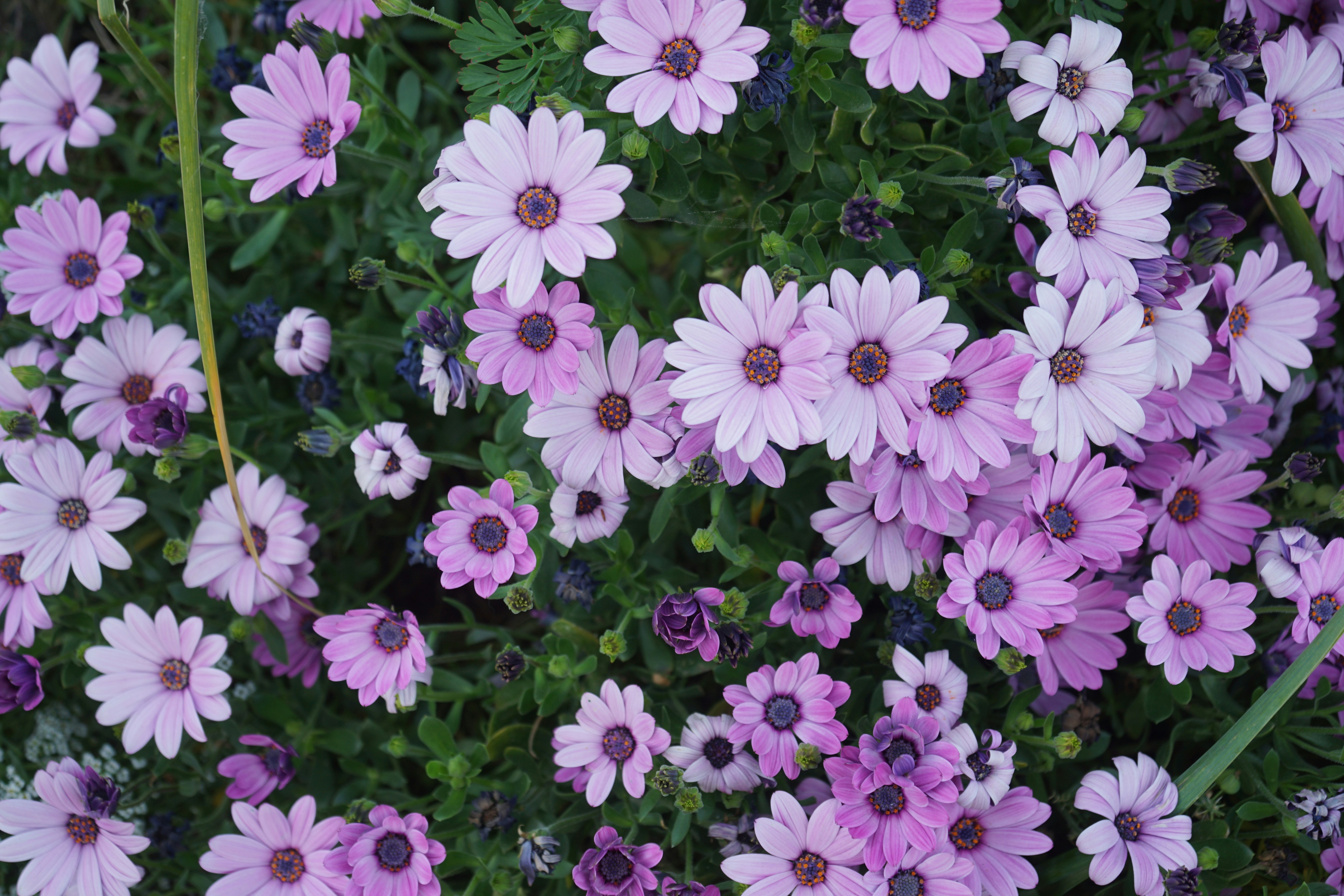 Photo by denisseleon