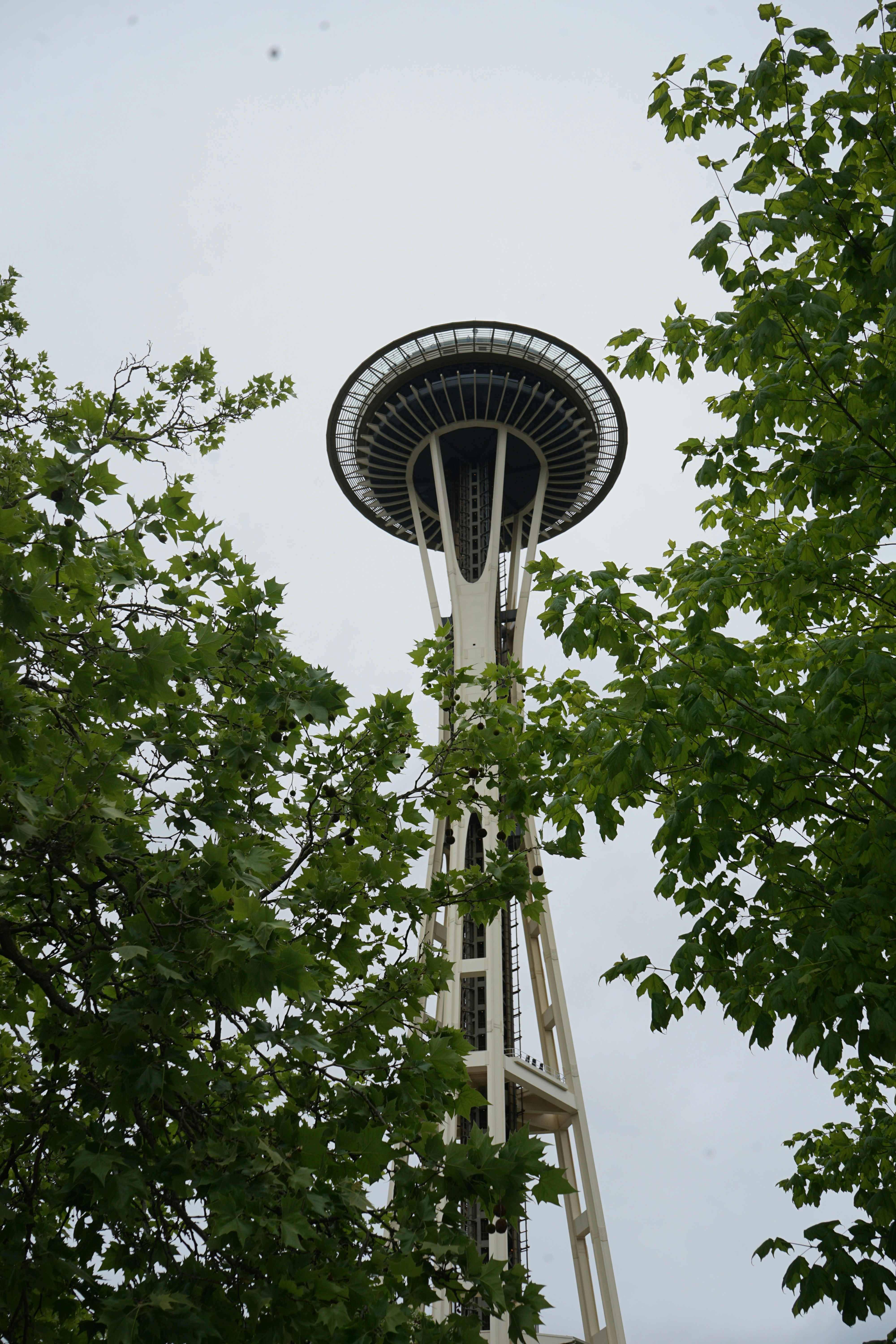 Photo by denisseleon