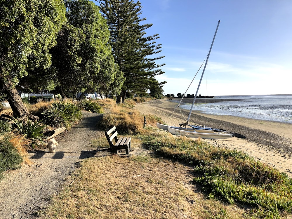 a wooden bench sitting on top of a sandy beach