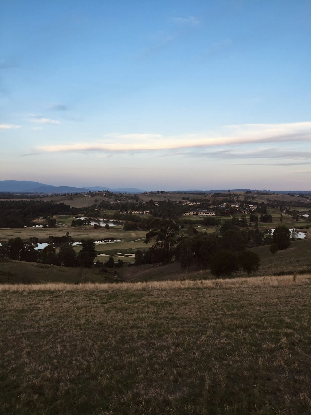 a view of a grassy field with a small town in the distance