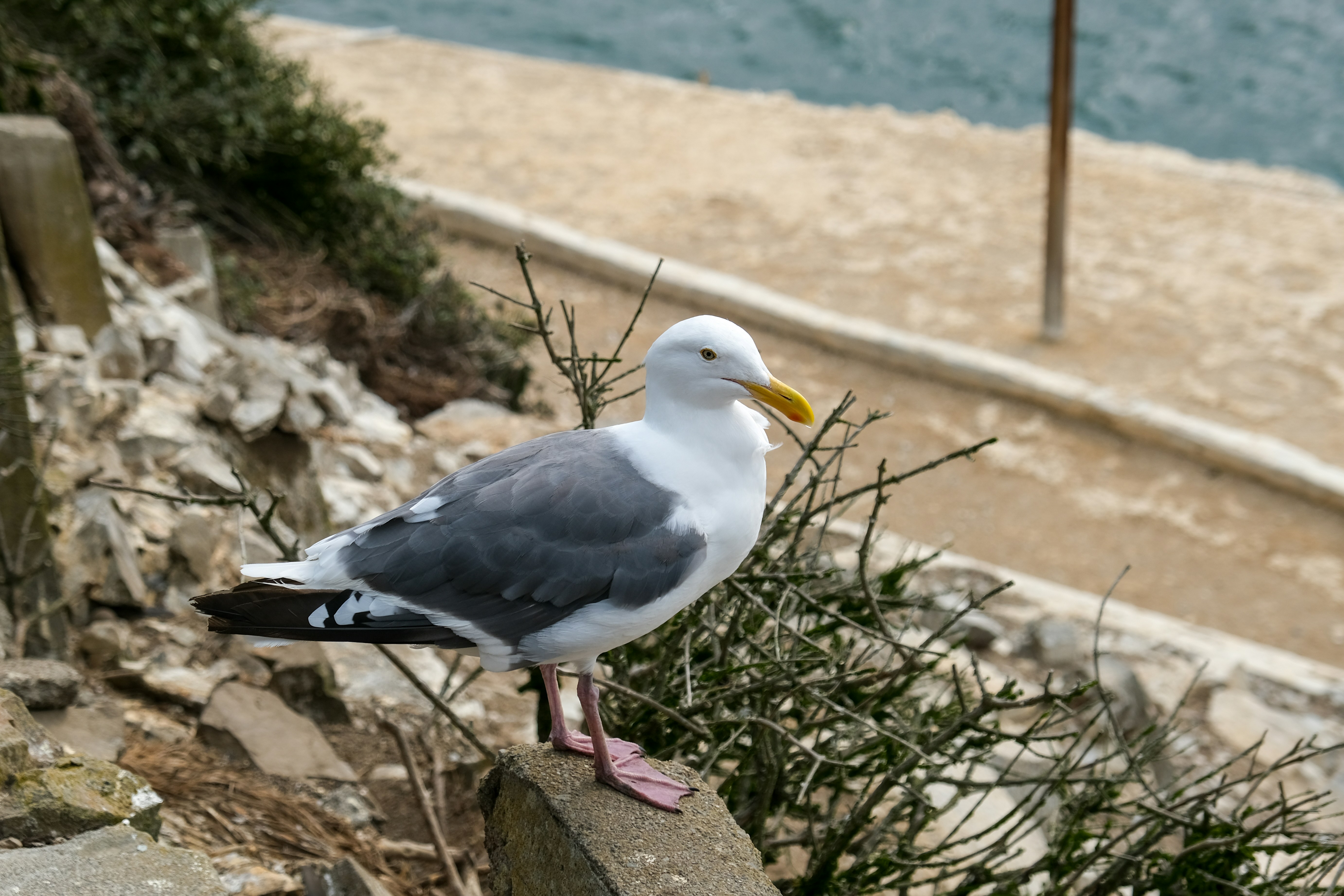 Photo by quentincc