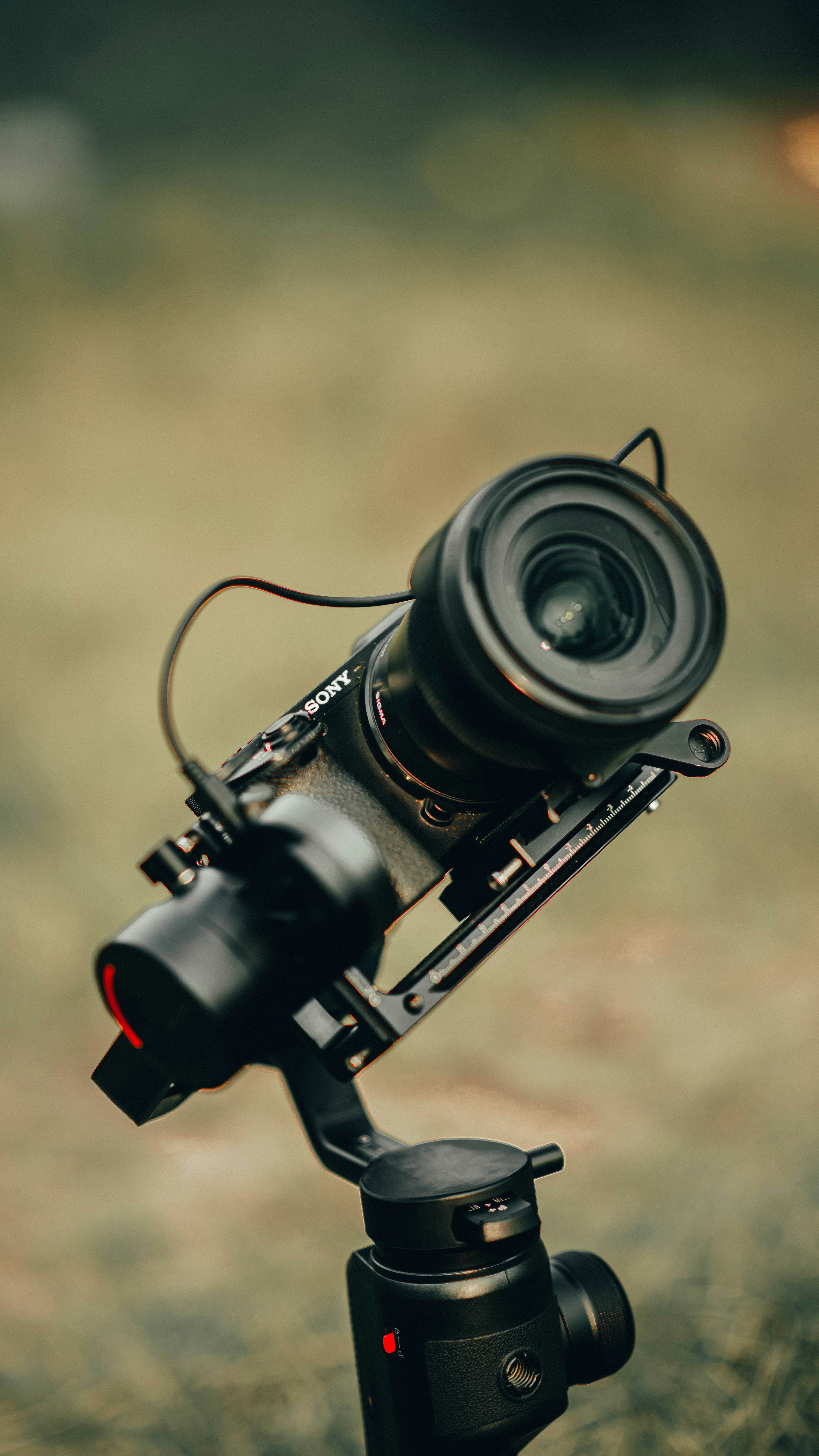 Photo by aali_jaffry