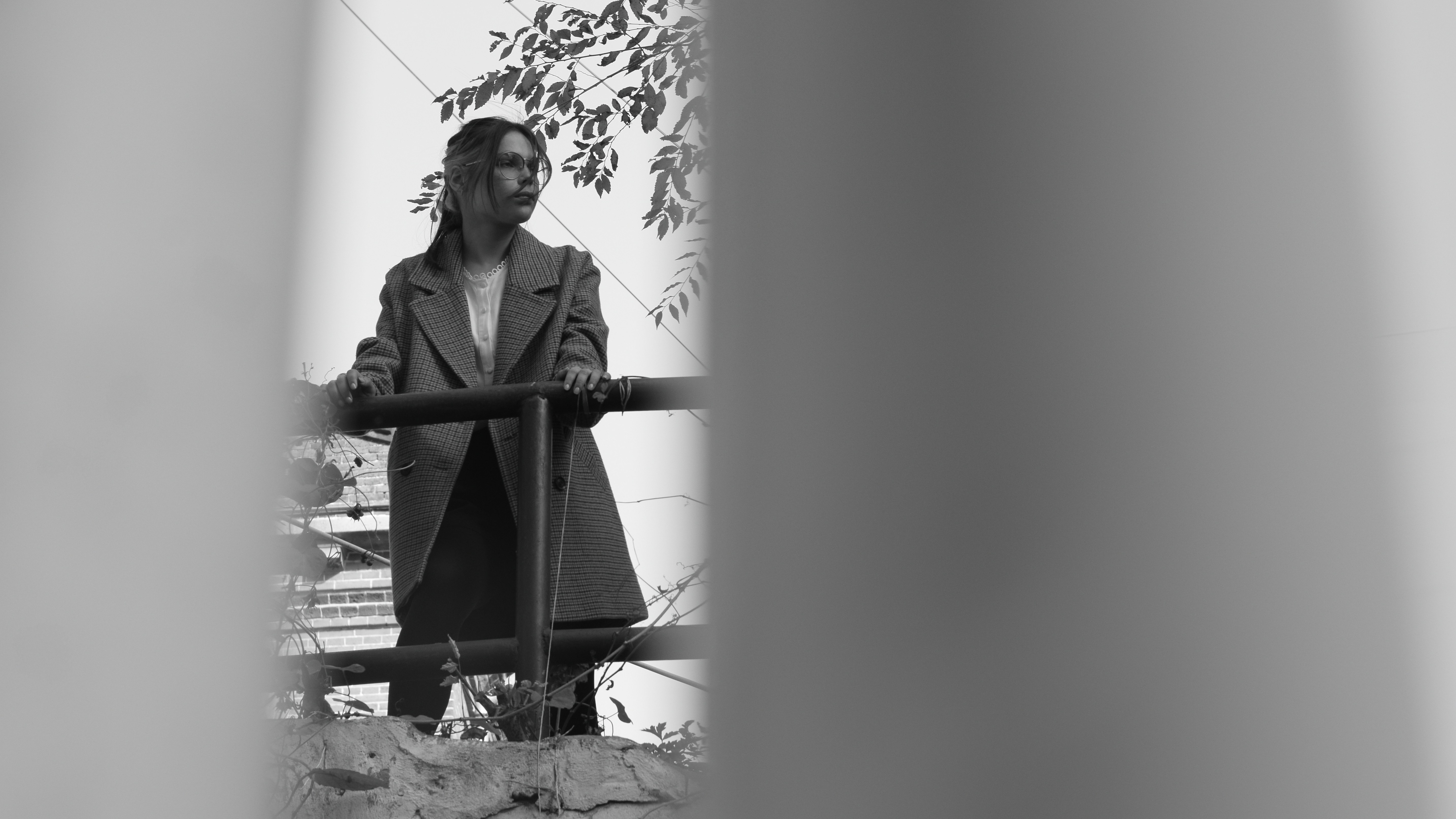 A woman standing on a railing in front of a tree photo – Free Human ...