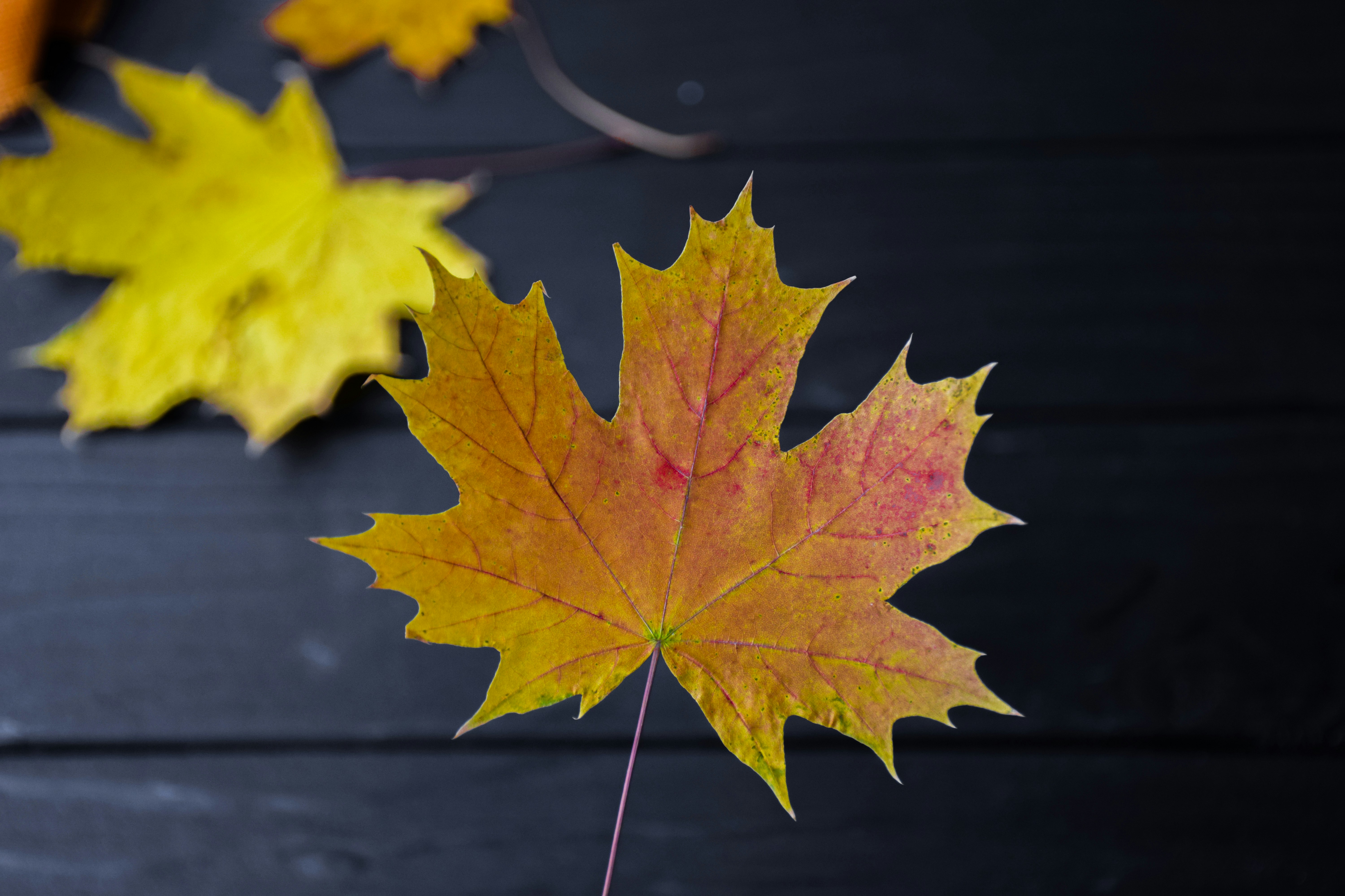 Photo by catiaclimovich