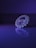 A detailed, intricate piece of jewelry is positioned on a reflective surface, illuminated by purple and blue lighting. The intricate patterns and symmetry are highlighted by the lighting, creating an elegant and captivating reflection.