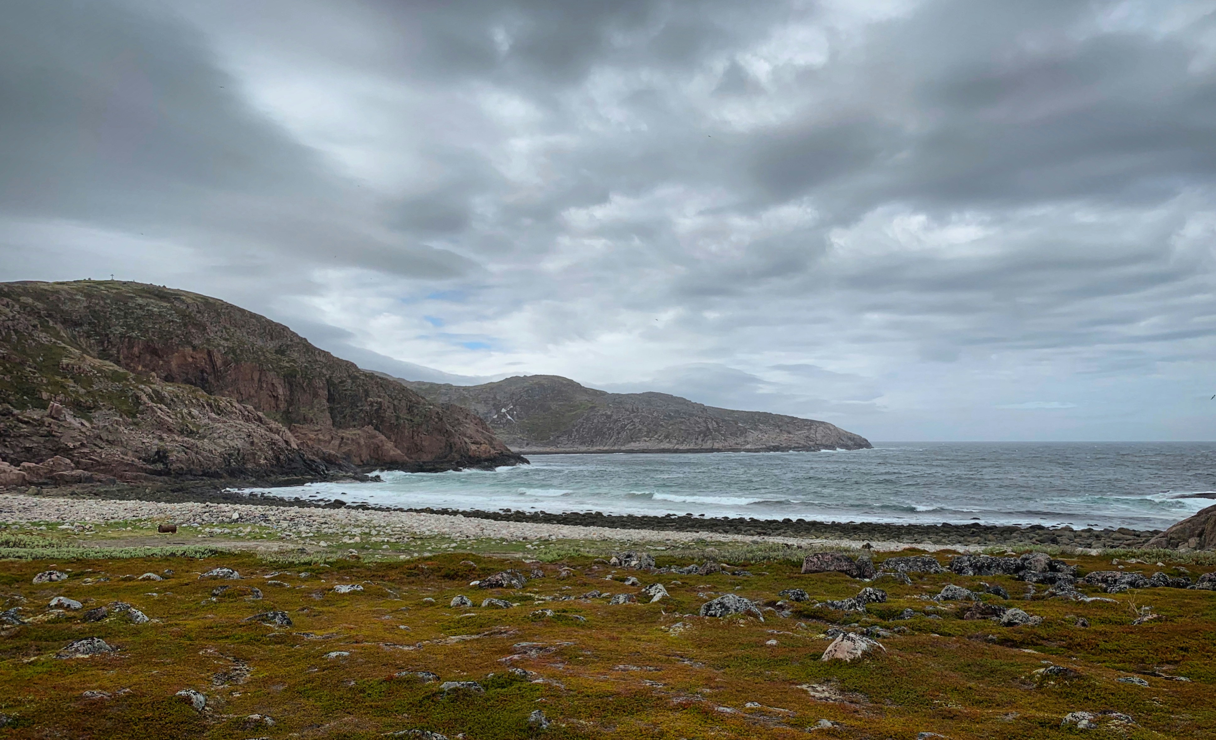 a grassy field next to the ocean under a cloudy sky