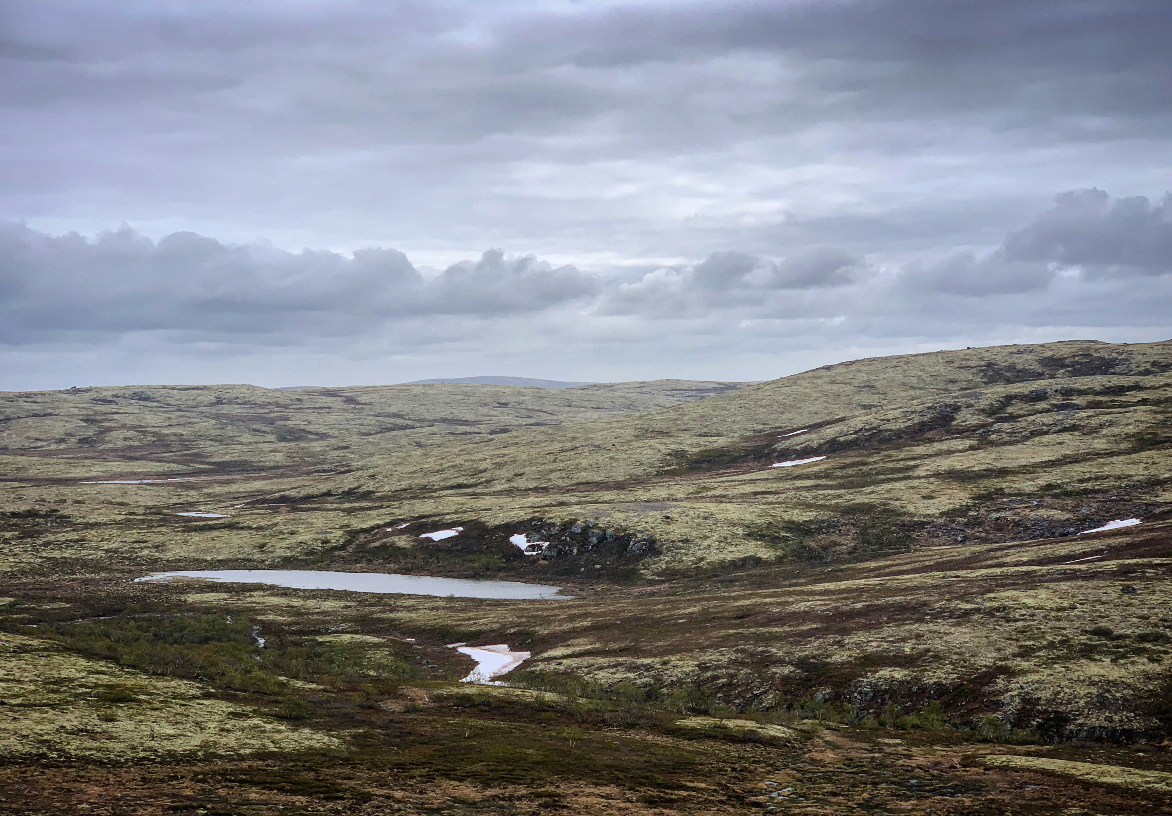 Photo by sergei_gussev