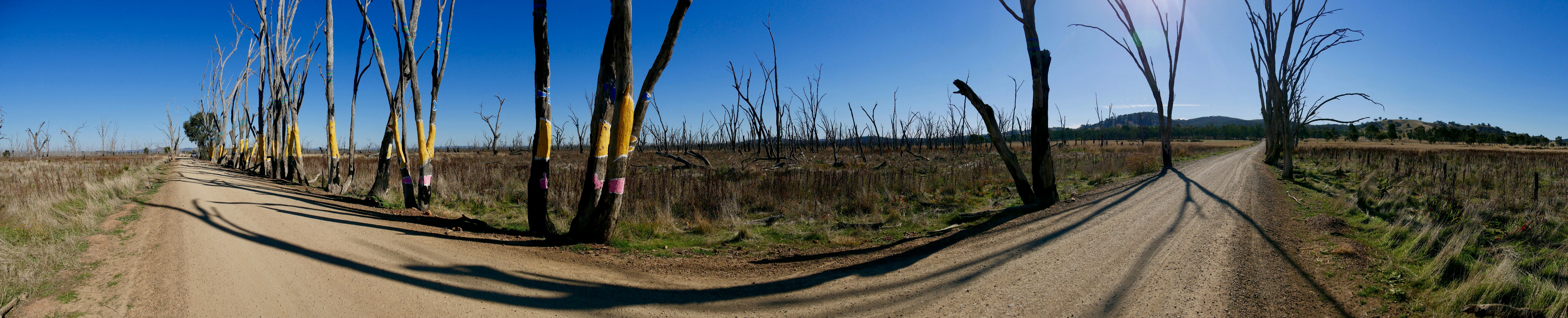 Photo by hunguyen250369