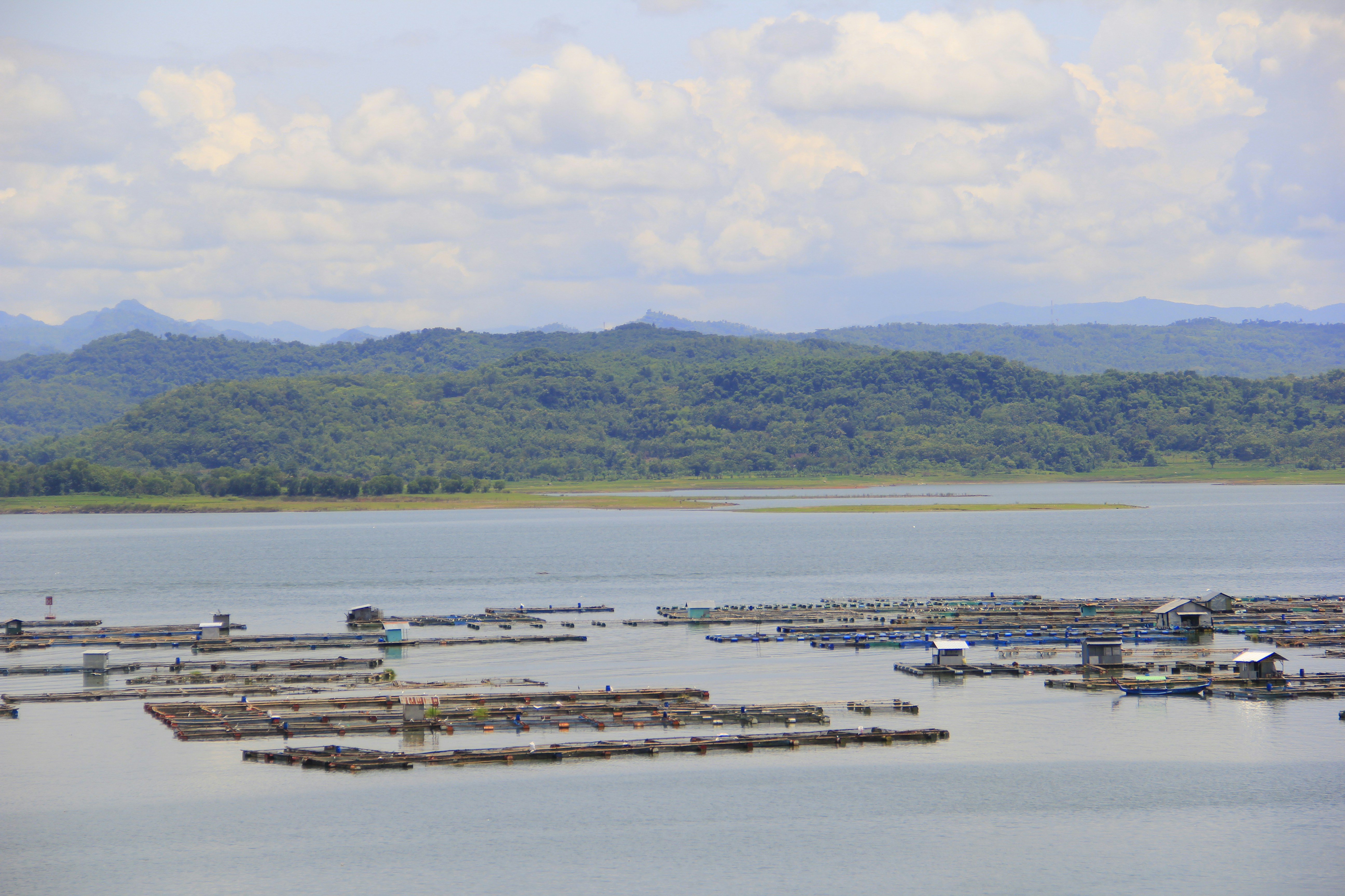 a large body of water filled with lots of boats