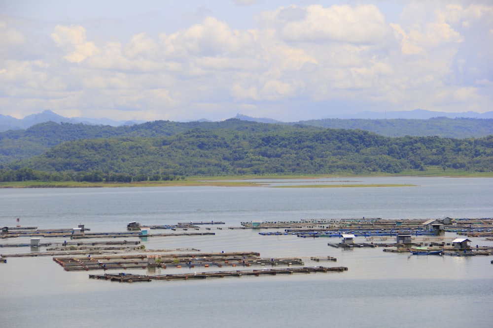 a large body of water filled with lots of boats