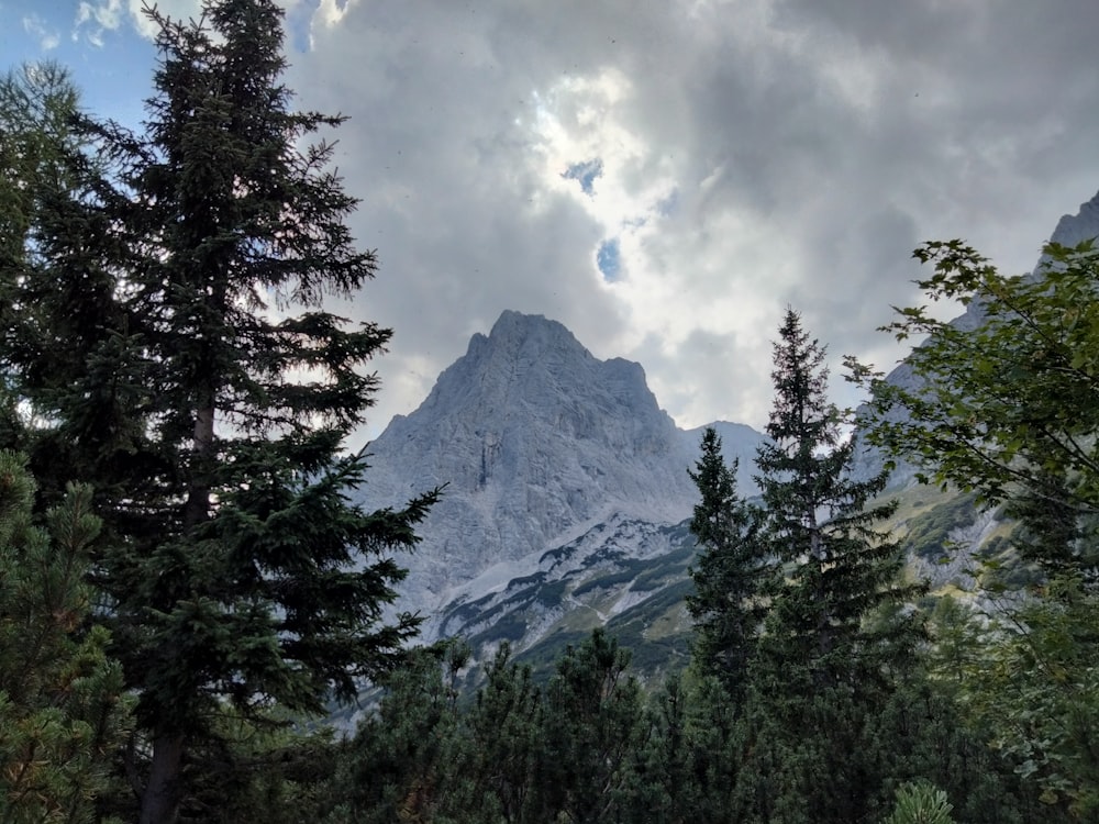 a view of a mountain through some trees