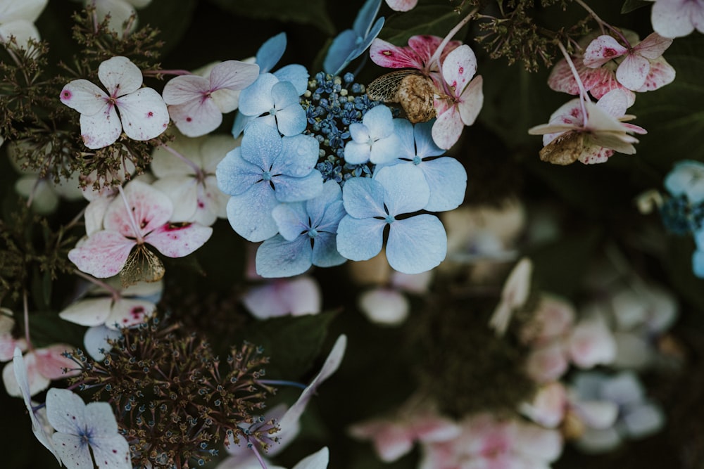 a bunch of flowers that are on a table