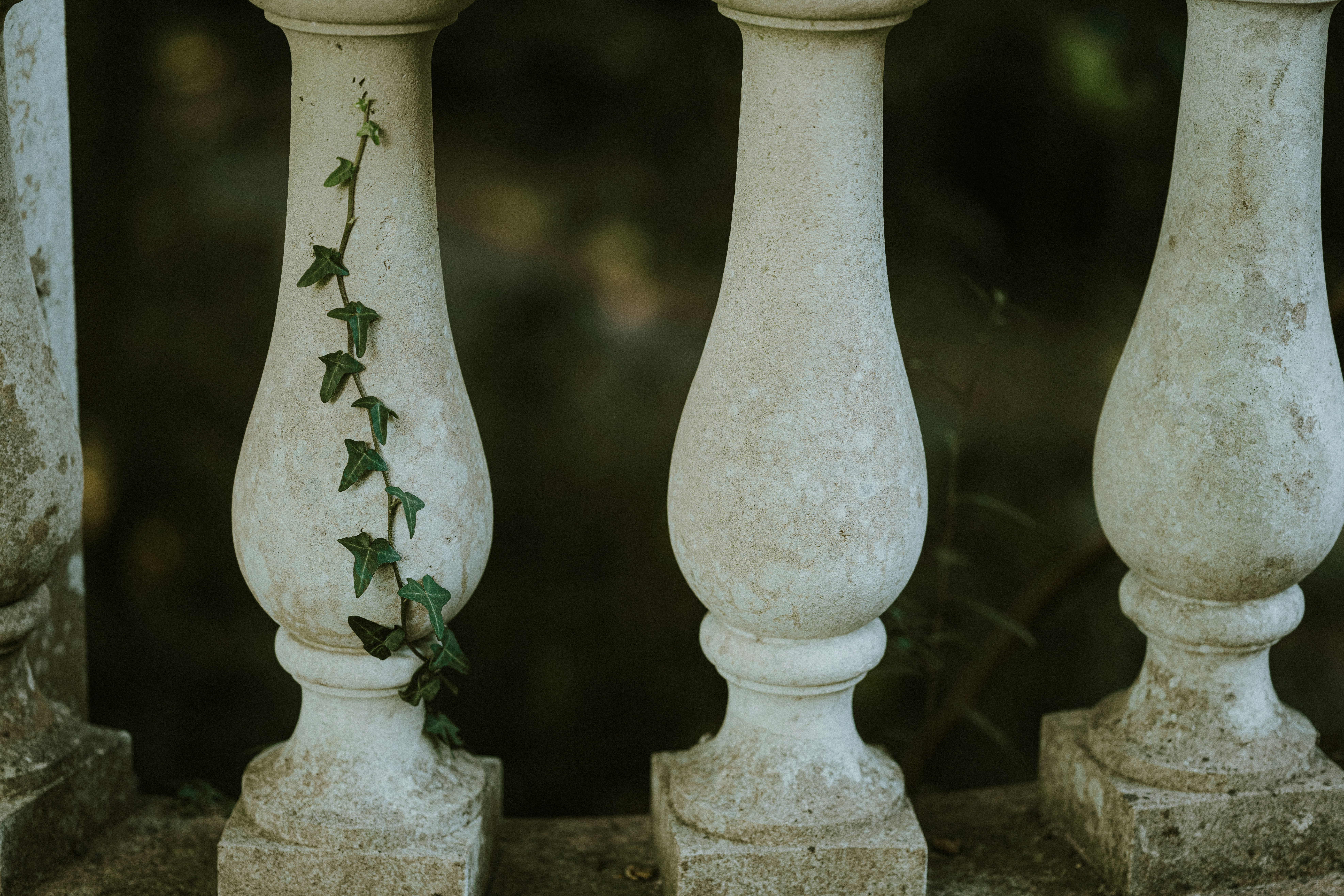 Photo by anniespratt