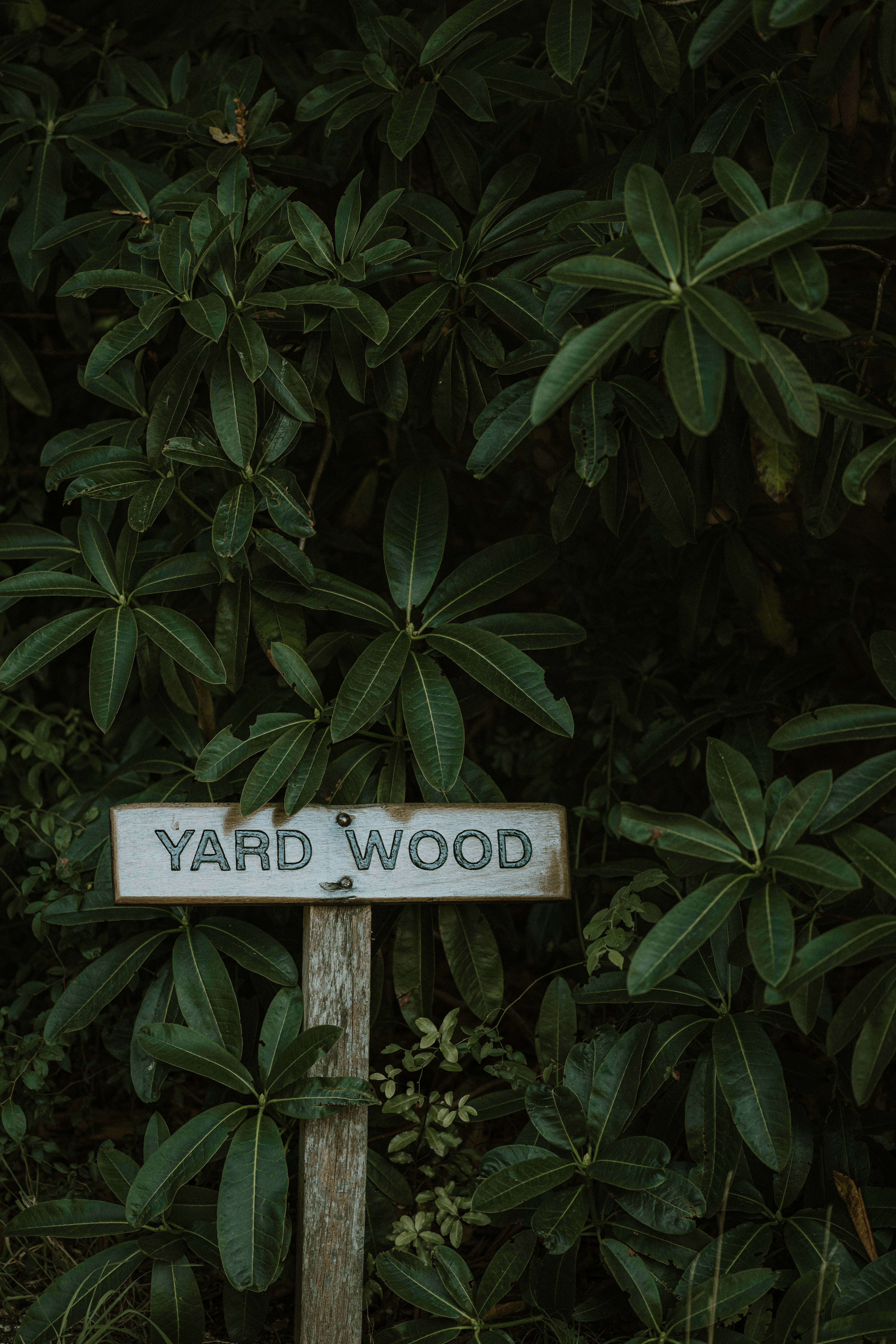 A wooden yard sign placed in front of a garden bush