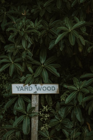 A yard sign posted in front of a home, representing the 7,442 Clark County single family listings sitting without an offer
