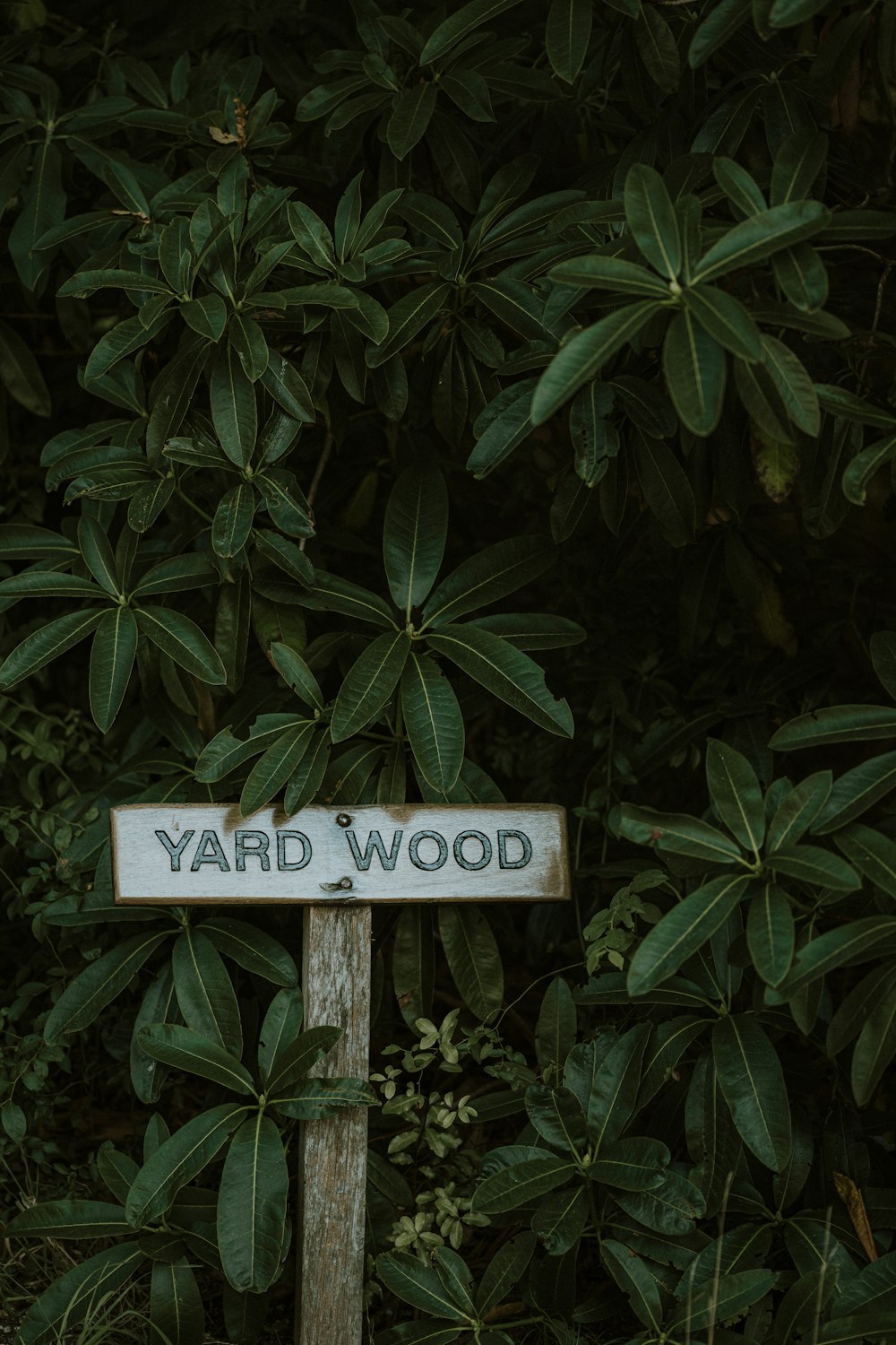 a yard wood sign in front of a bush