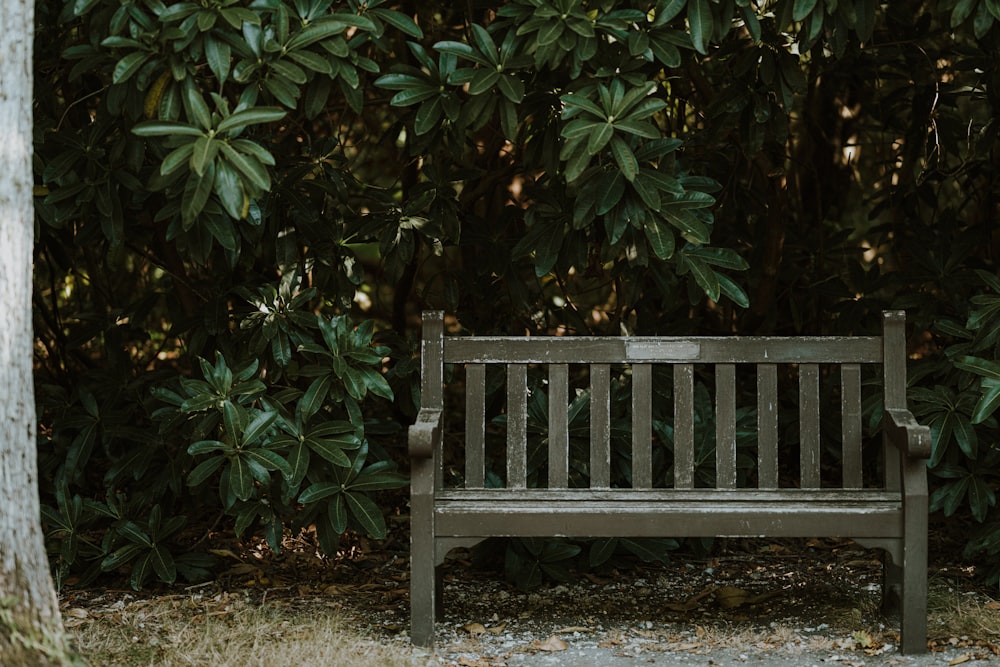 a wooden bench sitting in front of a bush