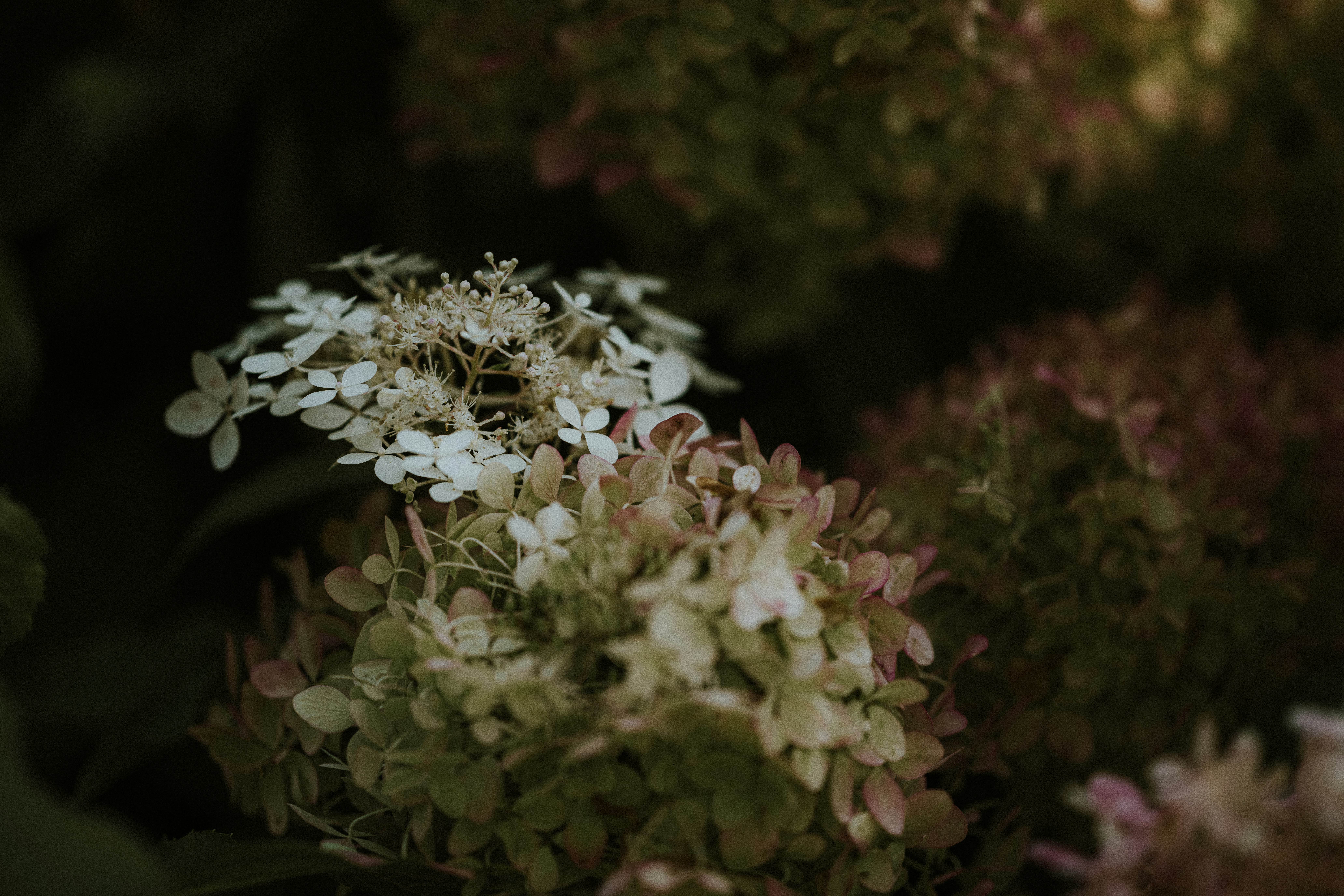 Photo by anniespratt