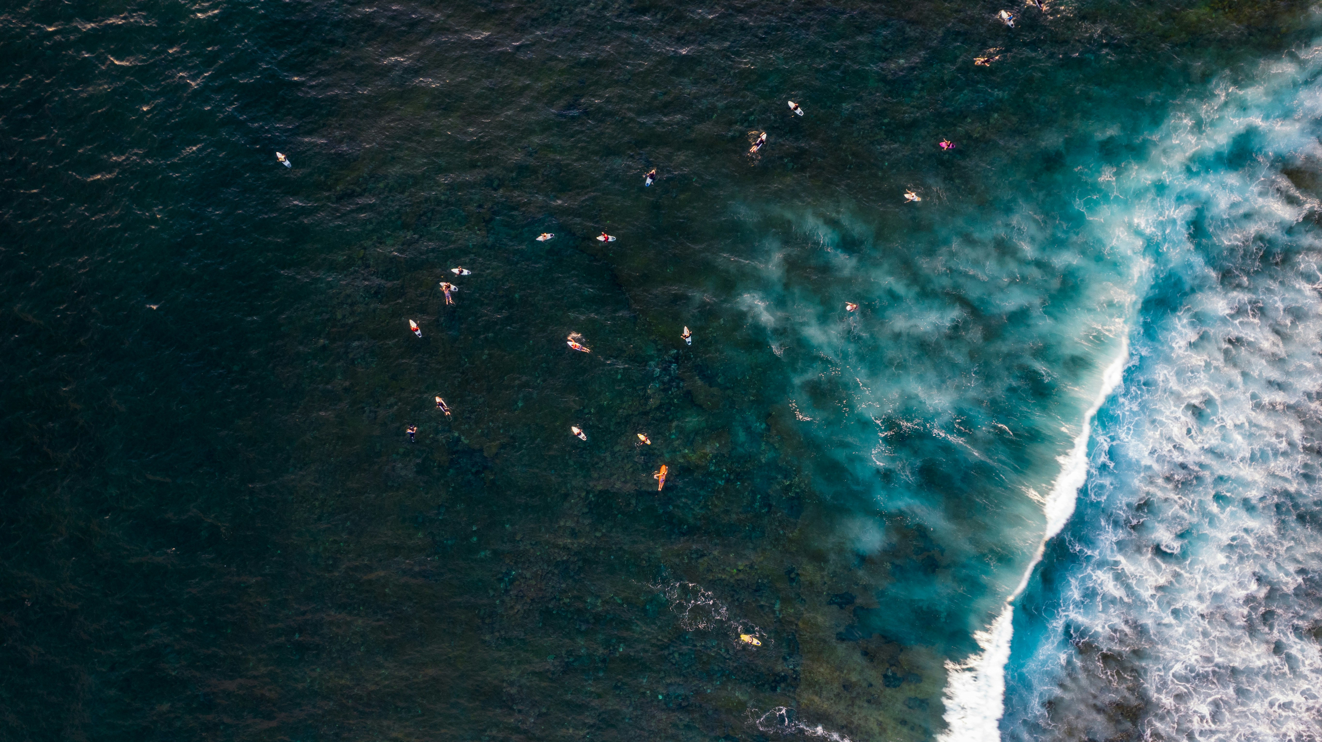 Photo by faustogarmen