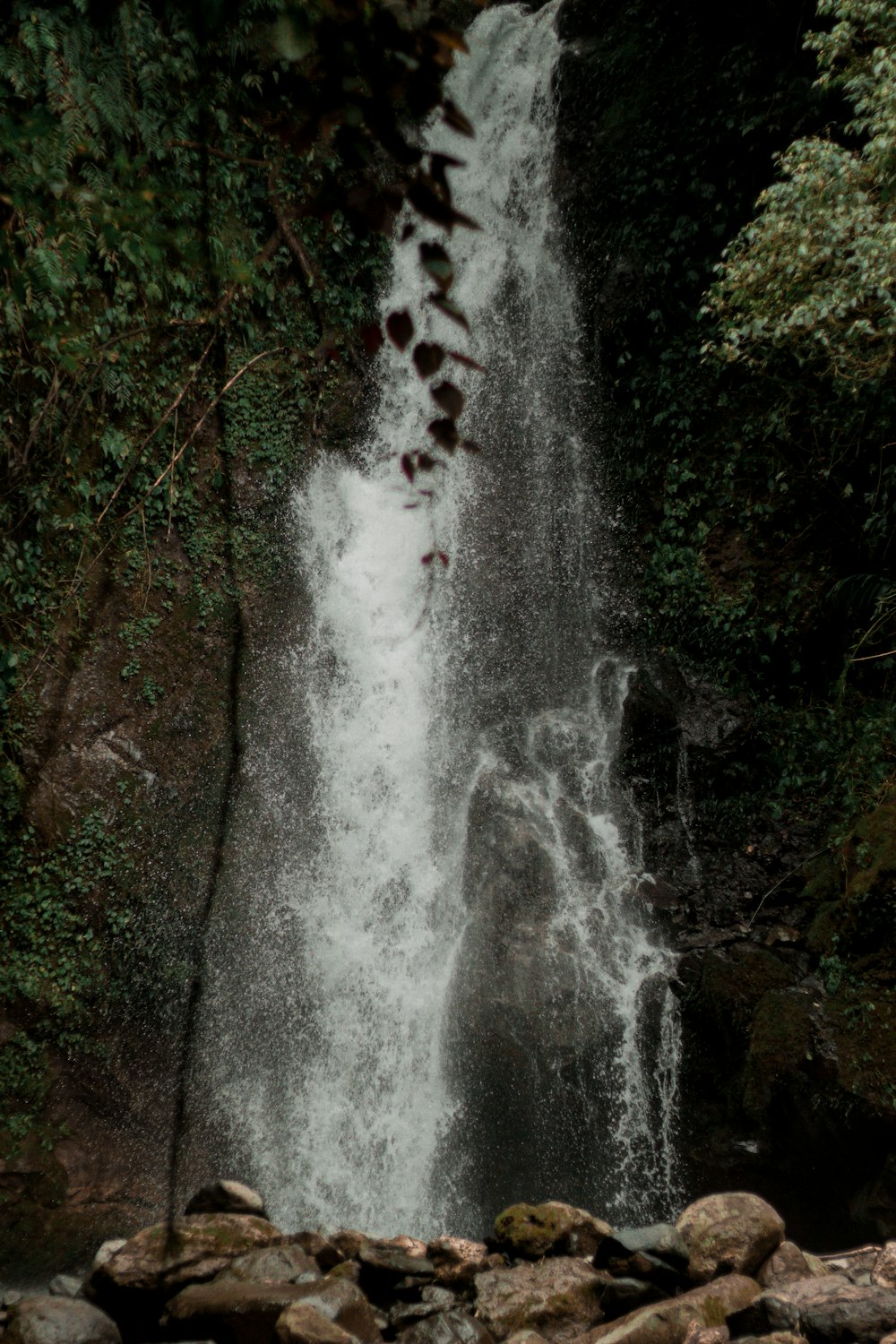 a man standing in front of a waterfall