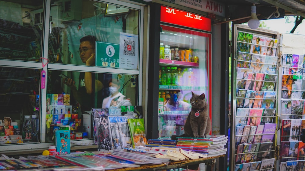 a cat sitting in the window of a store