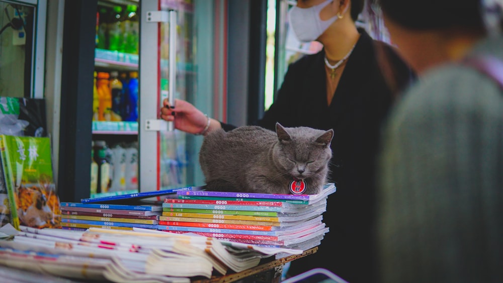 a cat sitting on top of a pile of books