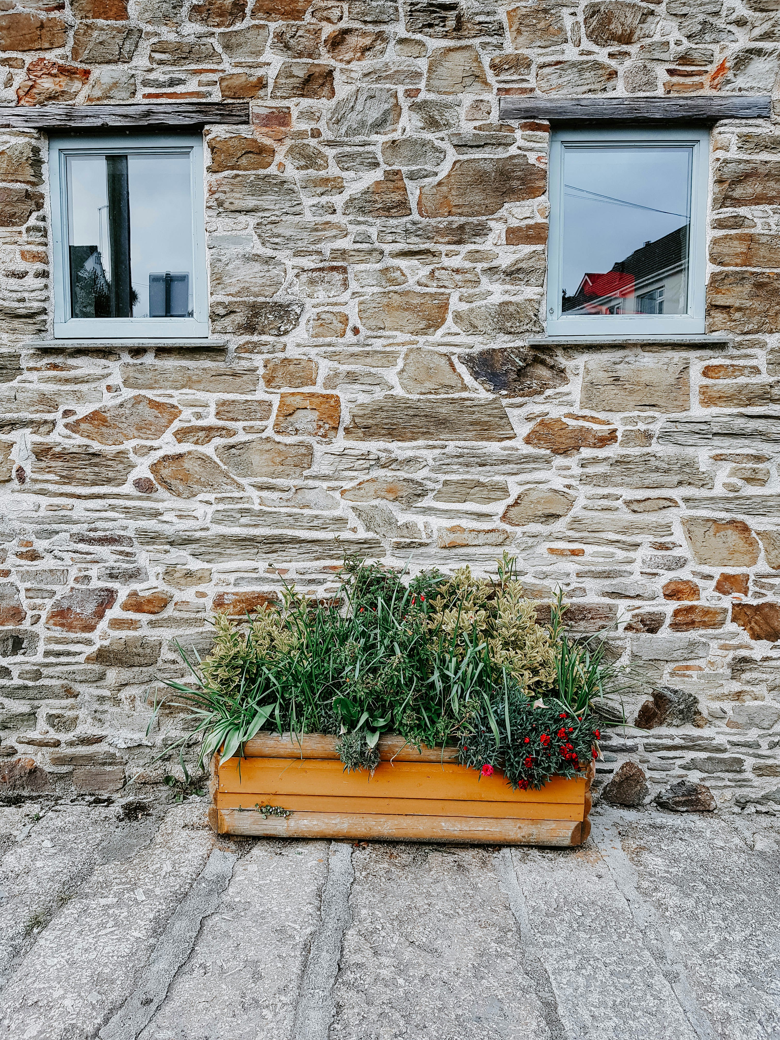 a wooden planter filled with plants next to two windows