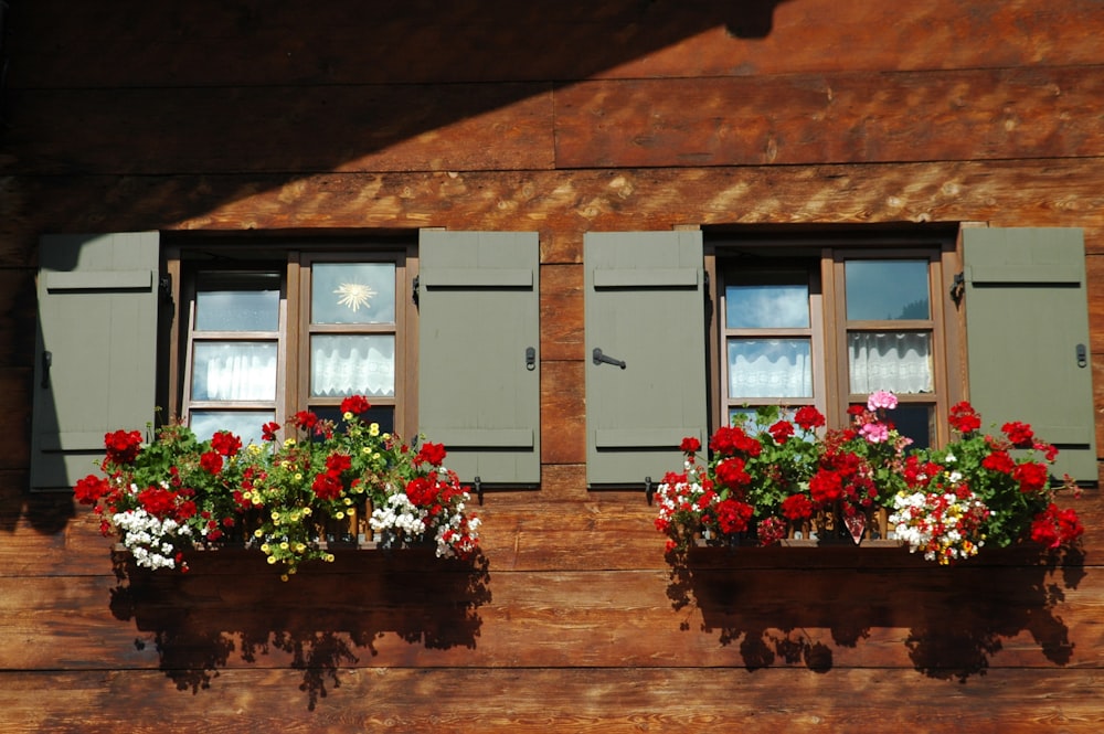 건물 옆에 앉아 있는 두 개의 꽃 상자