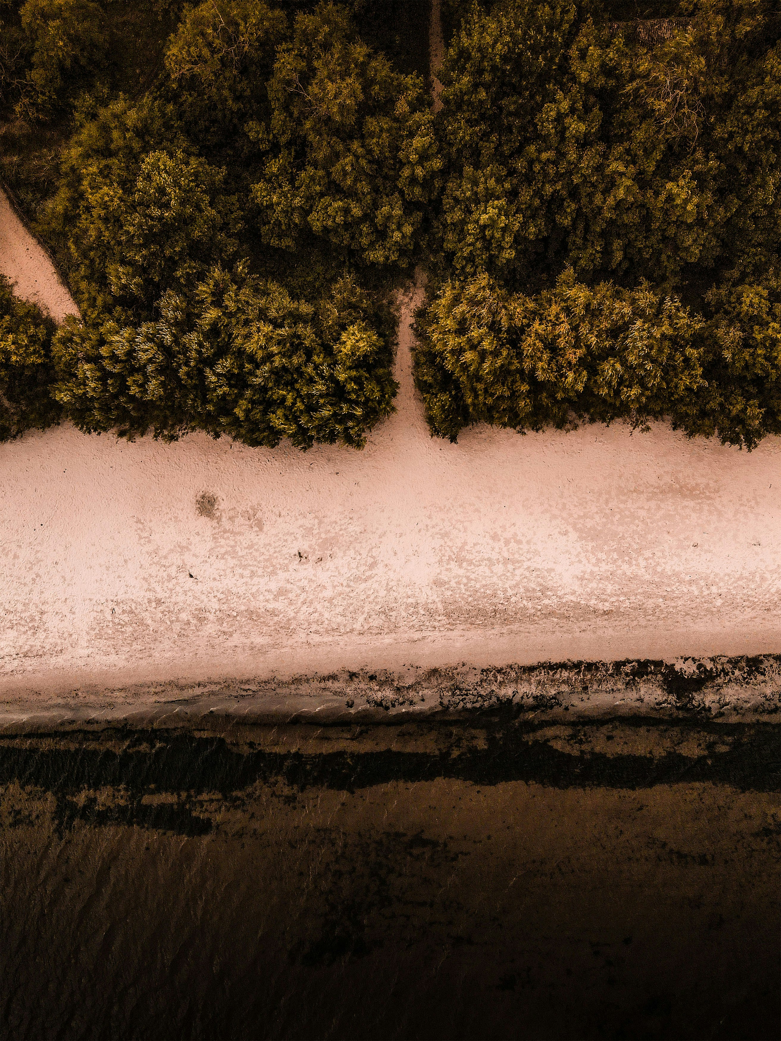 Photo by christina_kozak