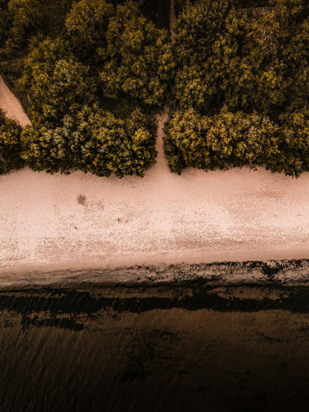 an aerial view of a body of water and trees