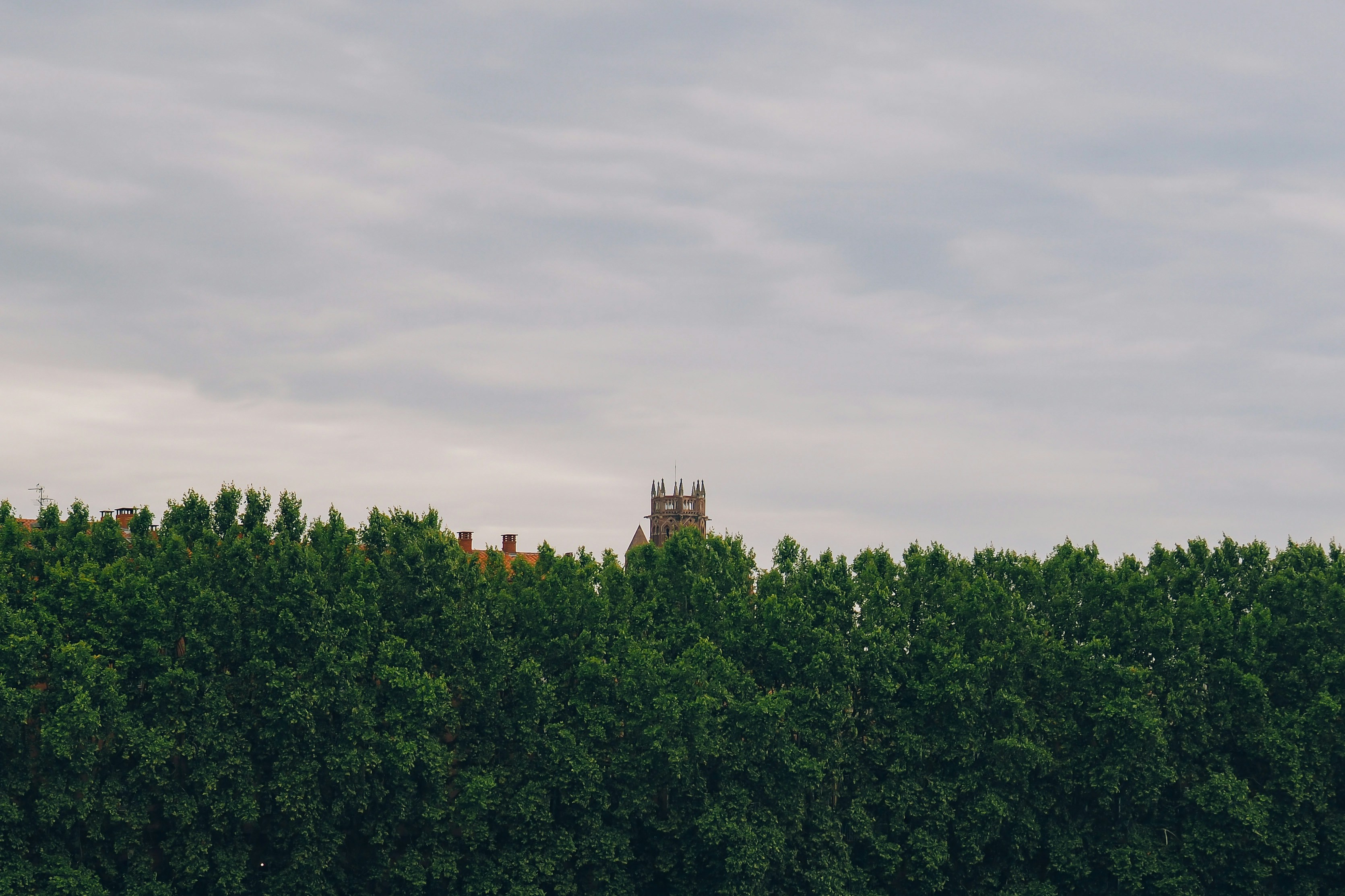 Photo by tomofficials