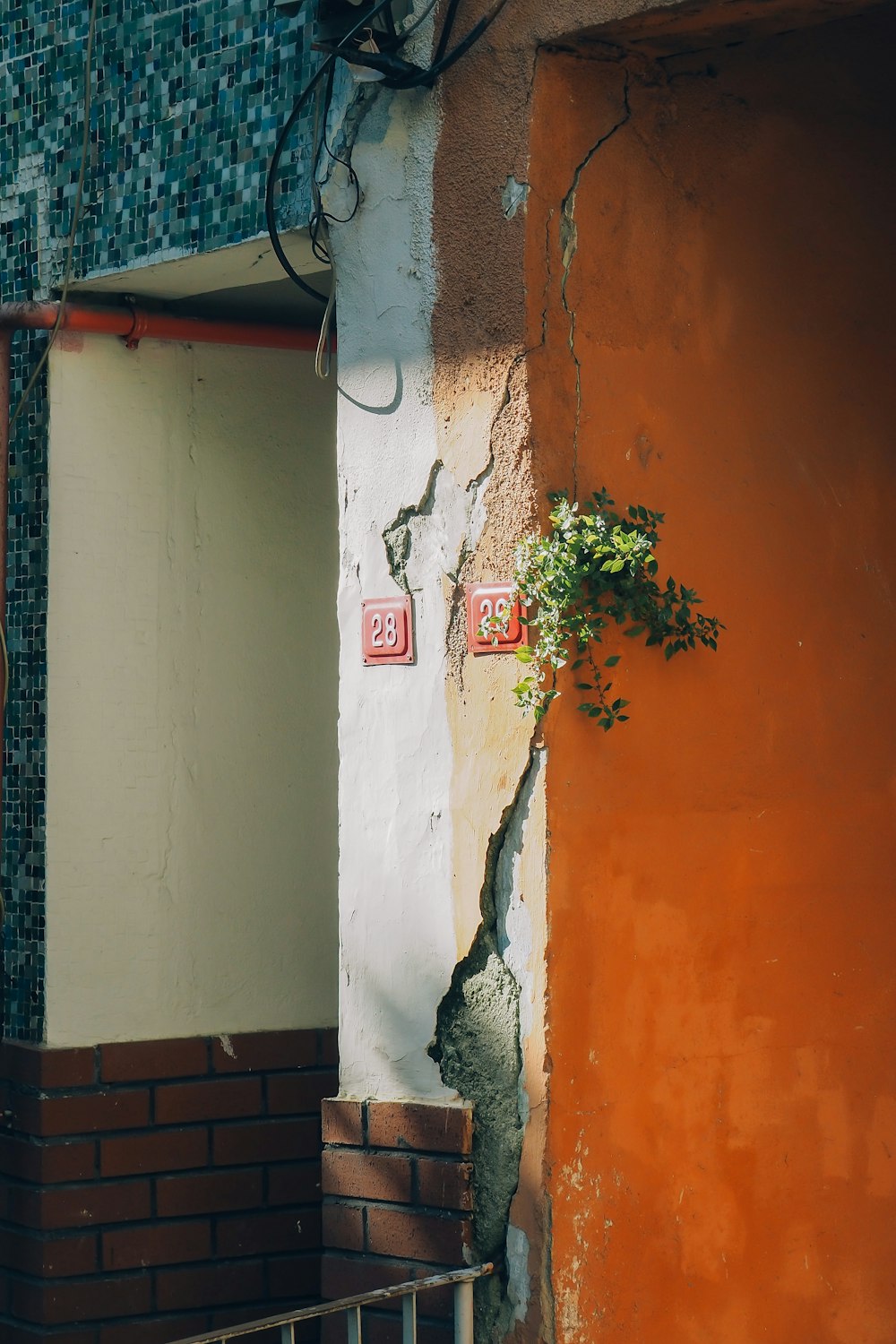 a brick wall with a plant growing on it