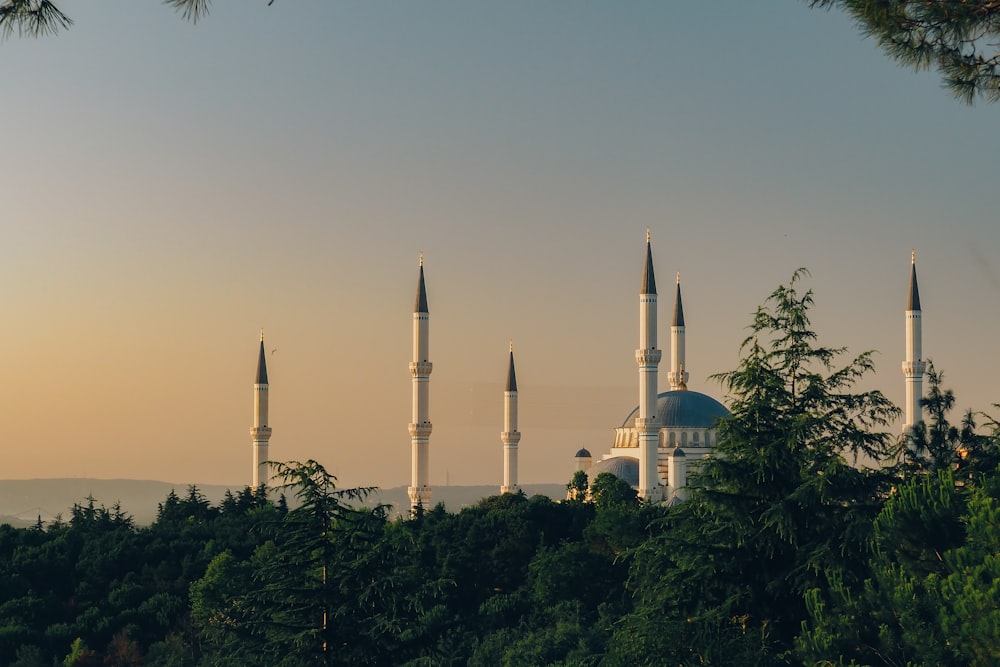 Blick auf eine Moschee mitten im Wald