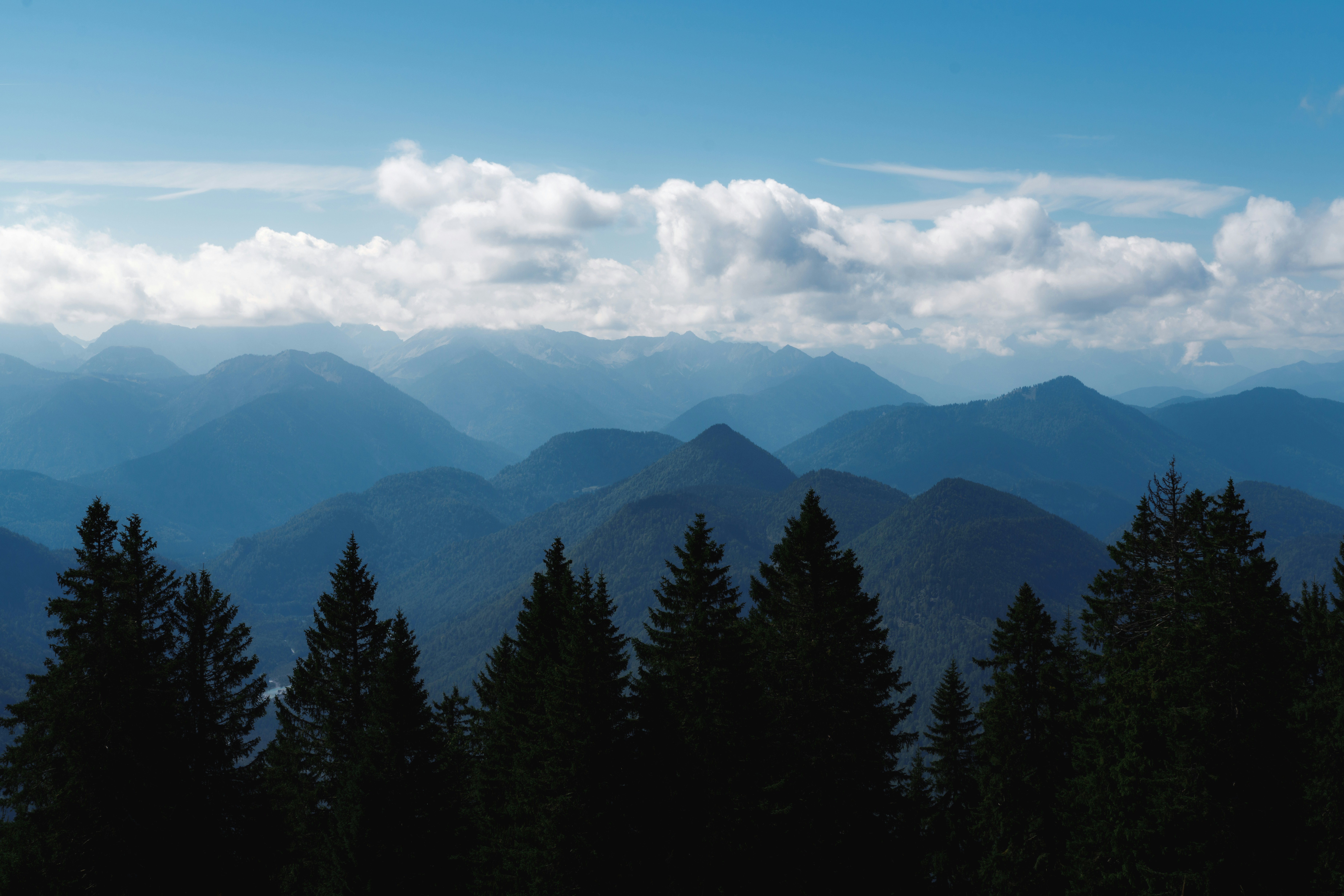 Photo by danielsessler