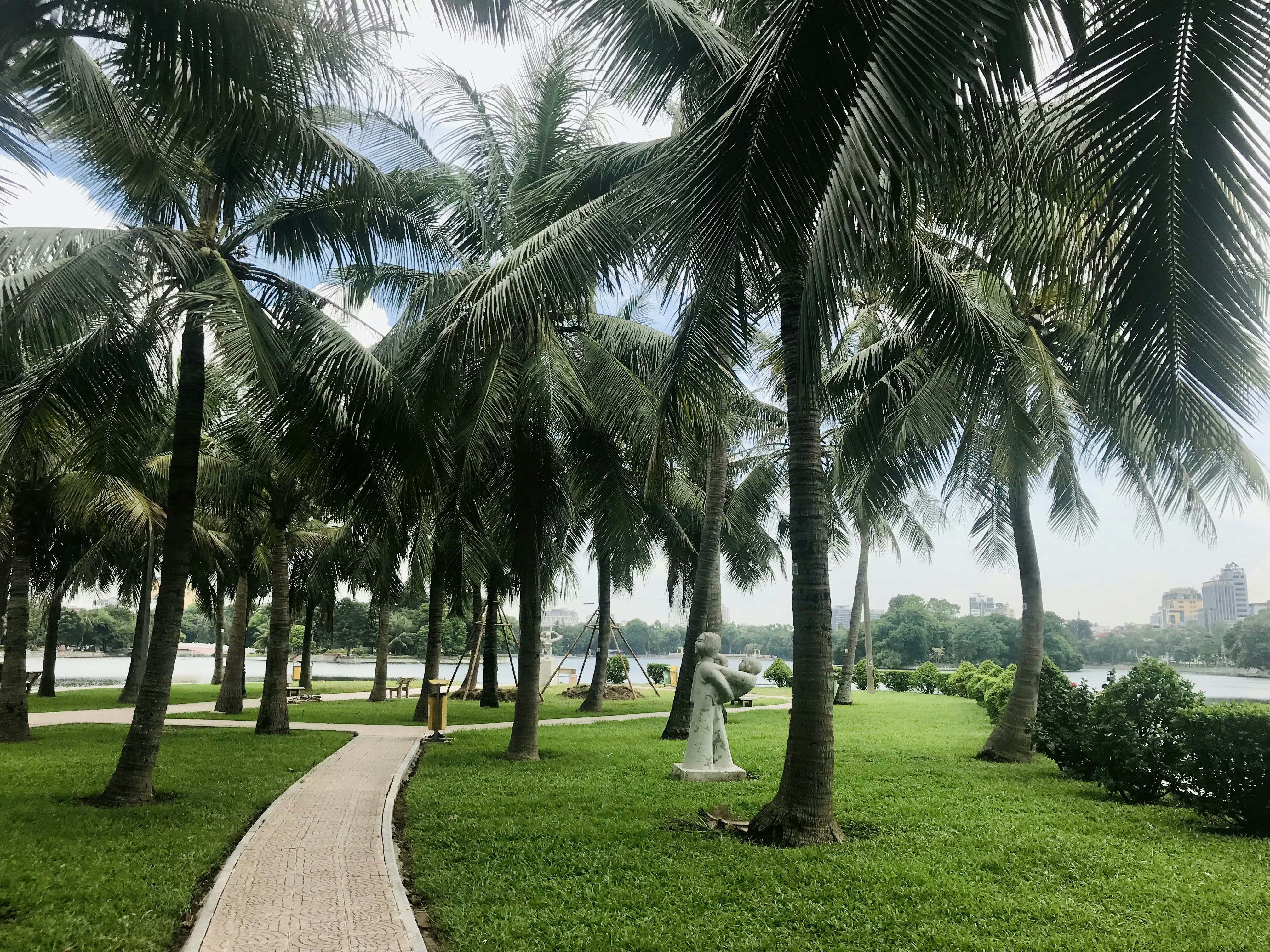 Vietnam Memorial Park