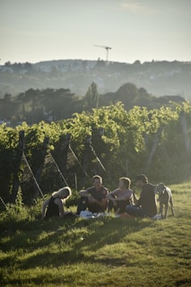 maatwerk_groepsreis_naar_barolo_in_piemonte