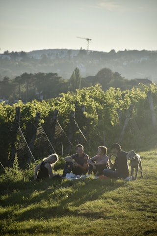 maatwerk_groepsreis_naar_barolo_in_piemonte-barolo-tours