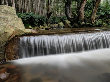 A peaceful waterfall flowing over rocks surrounded by lush green forest.