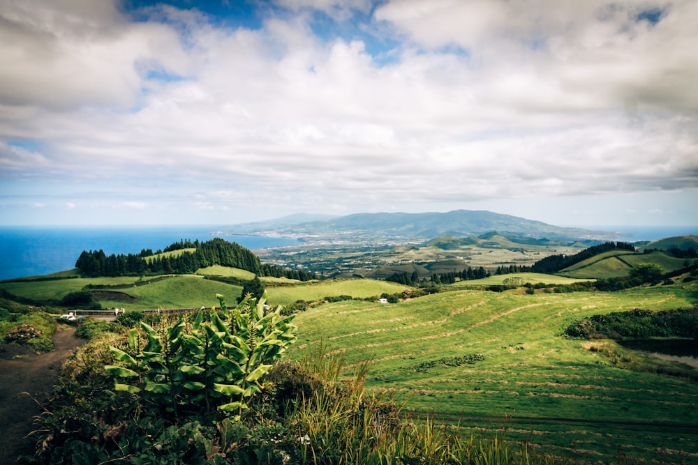 a view of a lush green valley with mountains in the distance