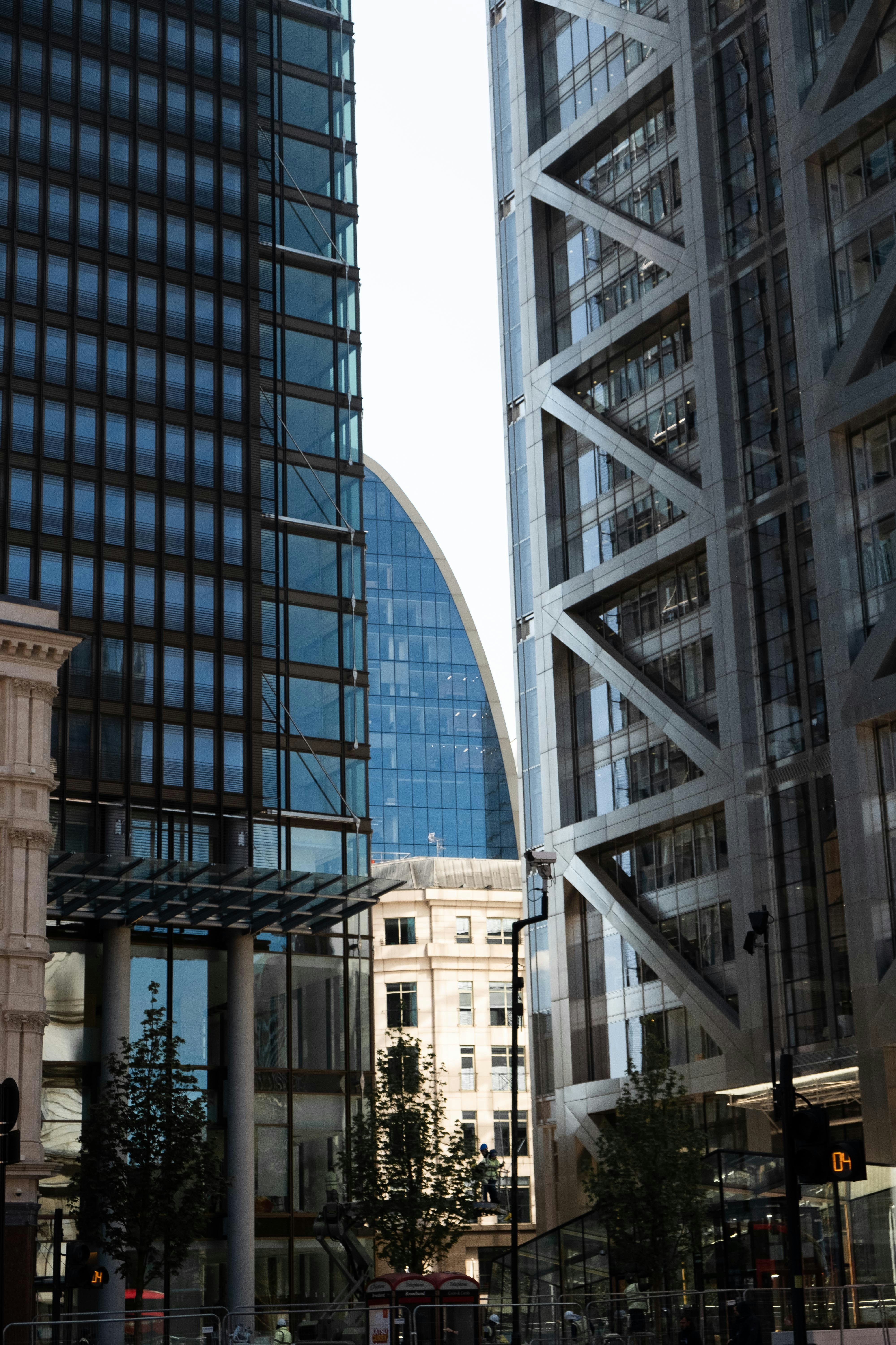 Photo by capturedbyhales