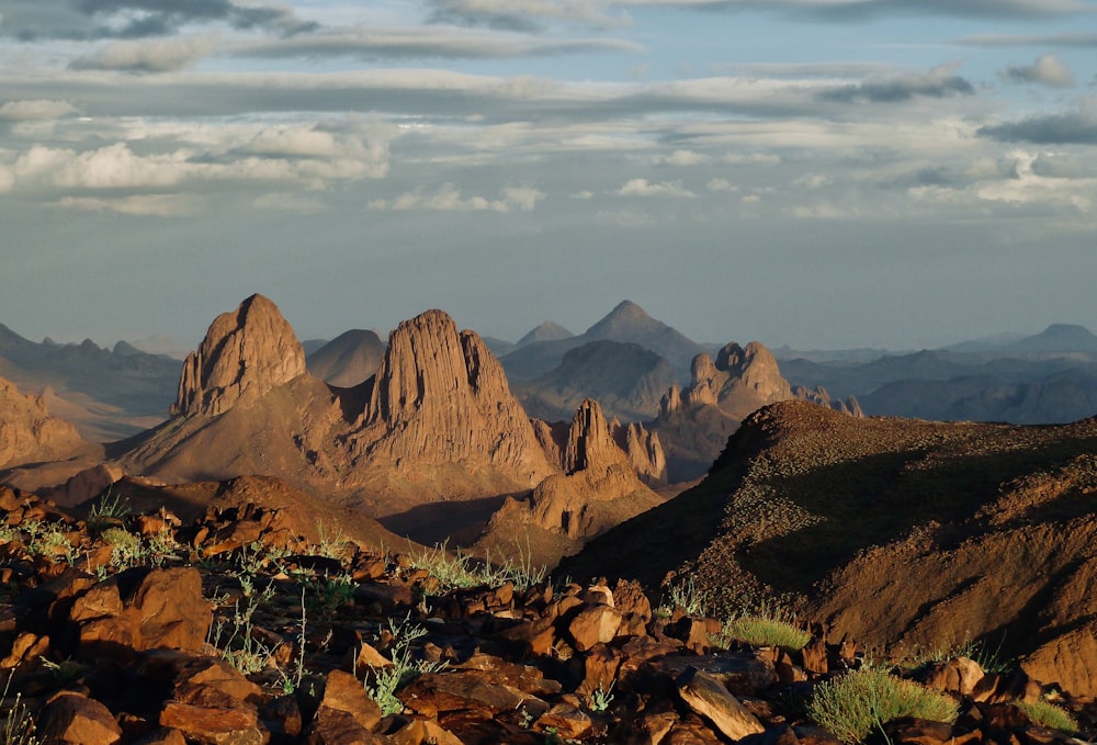 a mountain range with rocks and plants in the foreground