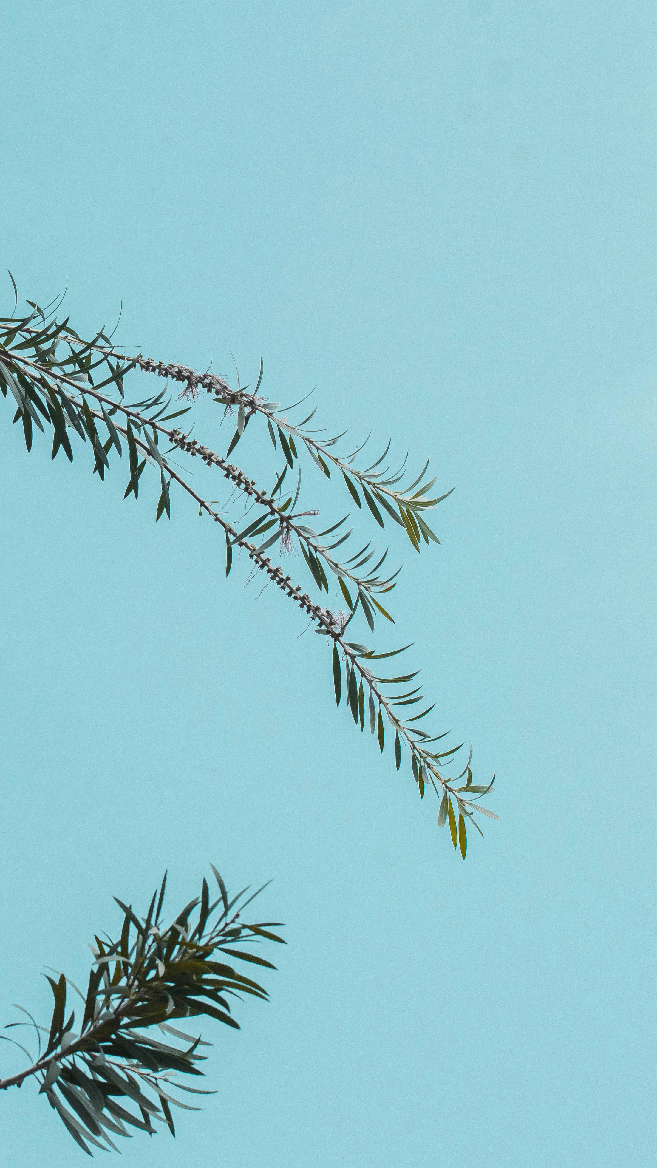 Photo by tirthkesharia