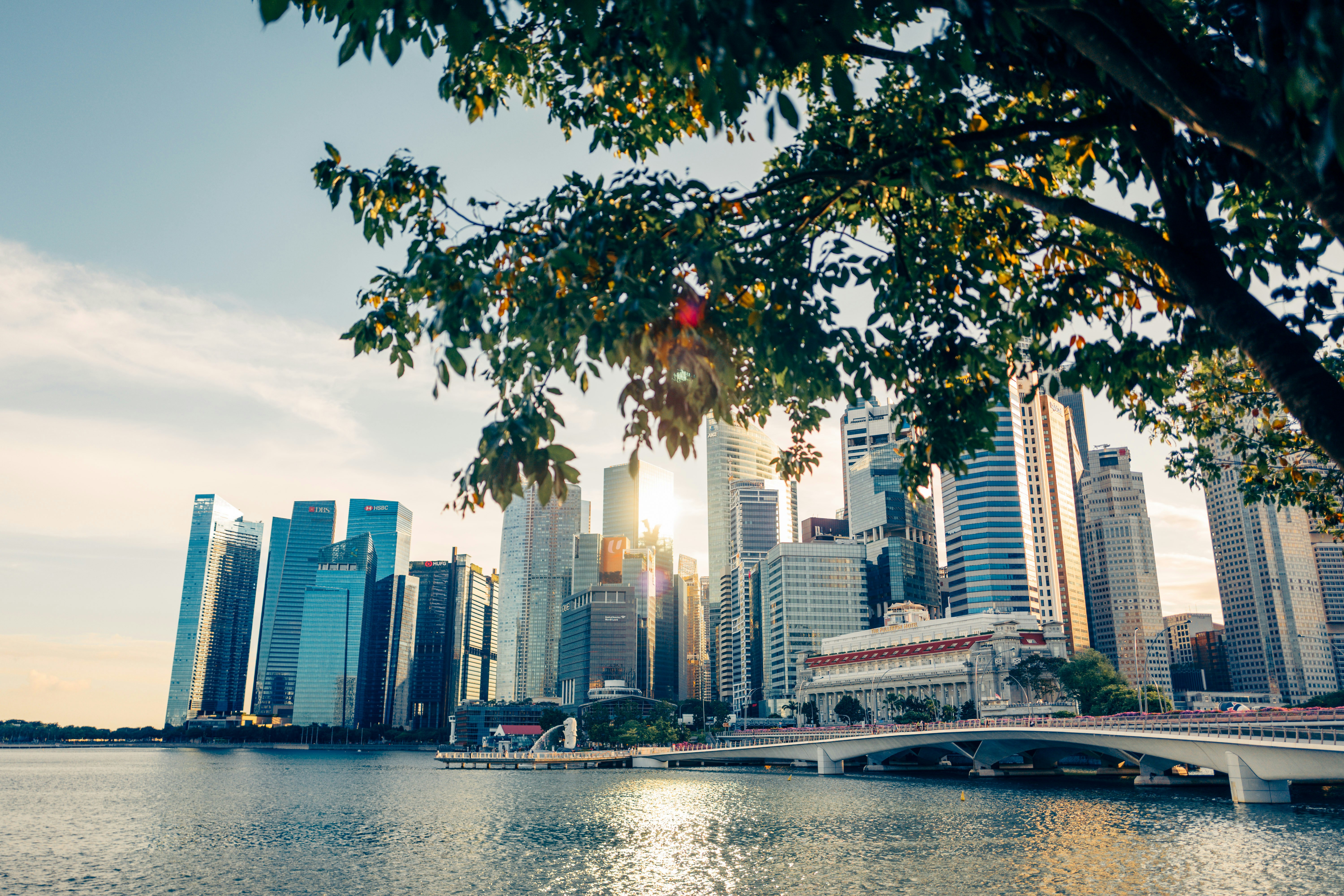 Photo by chuttersnap