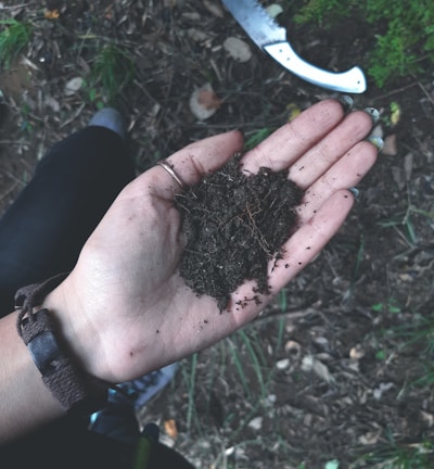 a person holding a handful of dirt in their hand