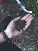 a person holding a handful of dirt in their hand