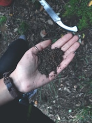 a person holding a handful of dirt in their hand